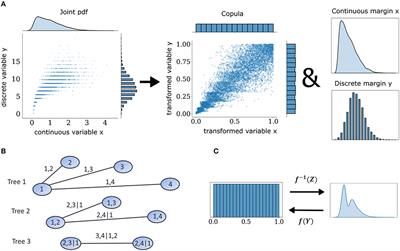 Mixed vine copula flows for flexible modeling of neural dependencies